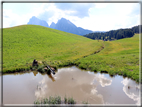foto Alpe di Siusi